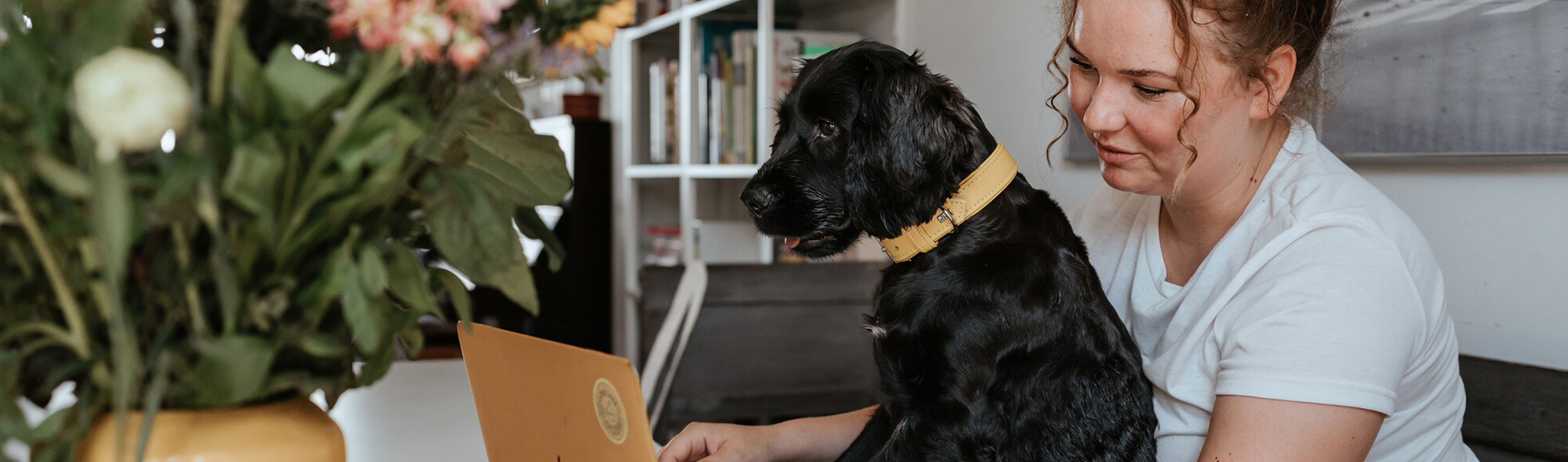 HP-Hund-und-Frau-vor-dem-Laptop.jpg