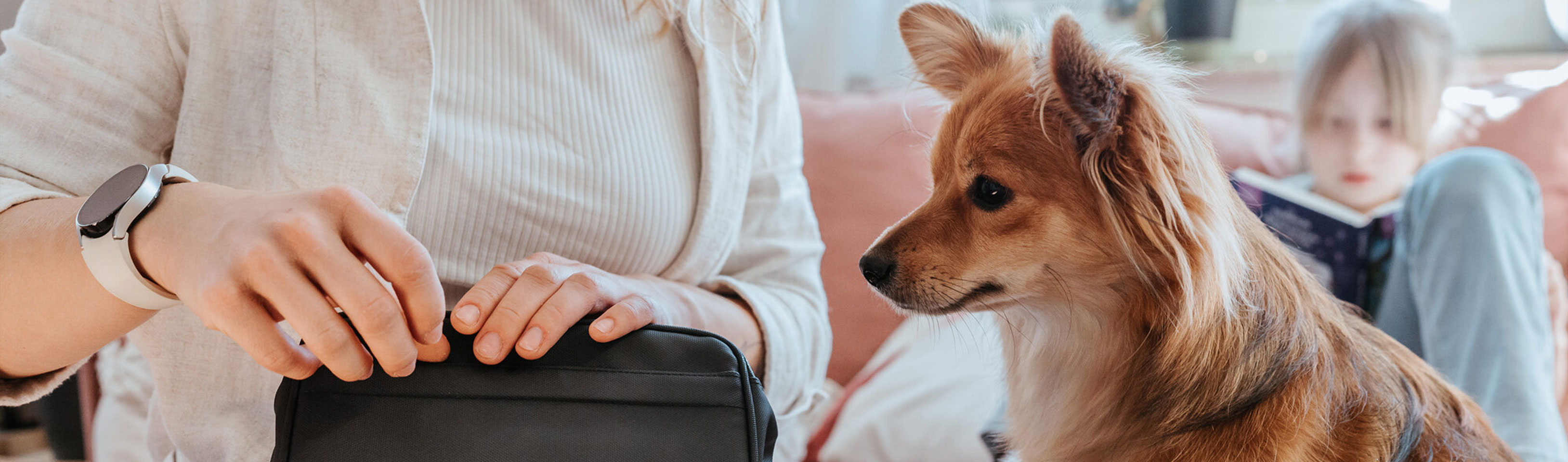 HP-Hund-und-Tasche.jpg