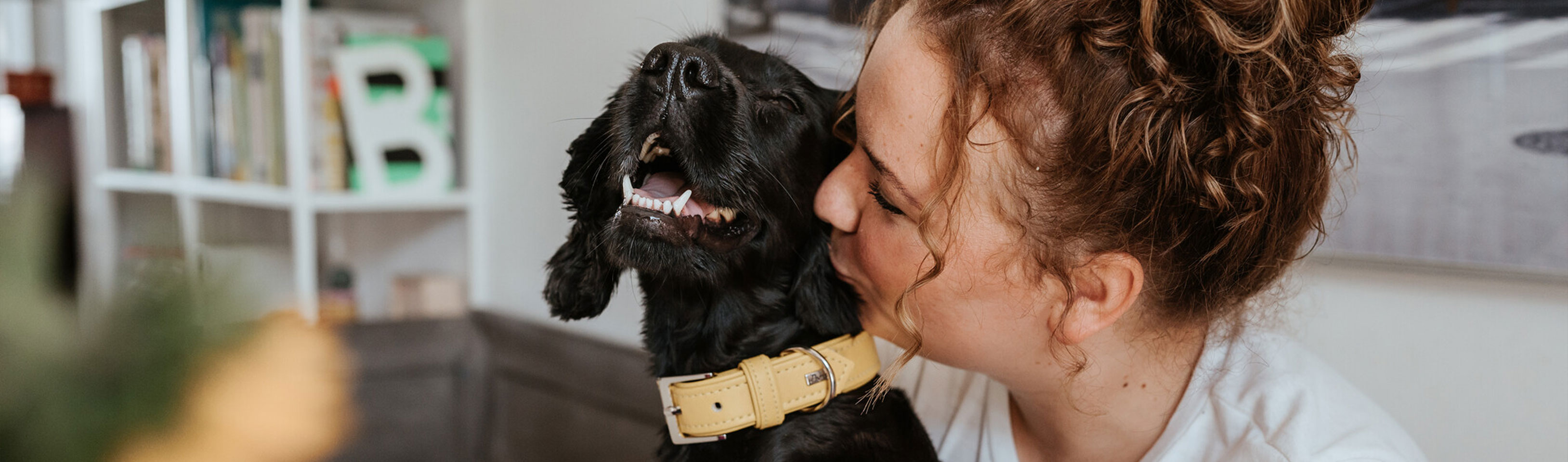 HP-Frau-küsst-einen-Hund.jpg