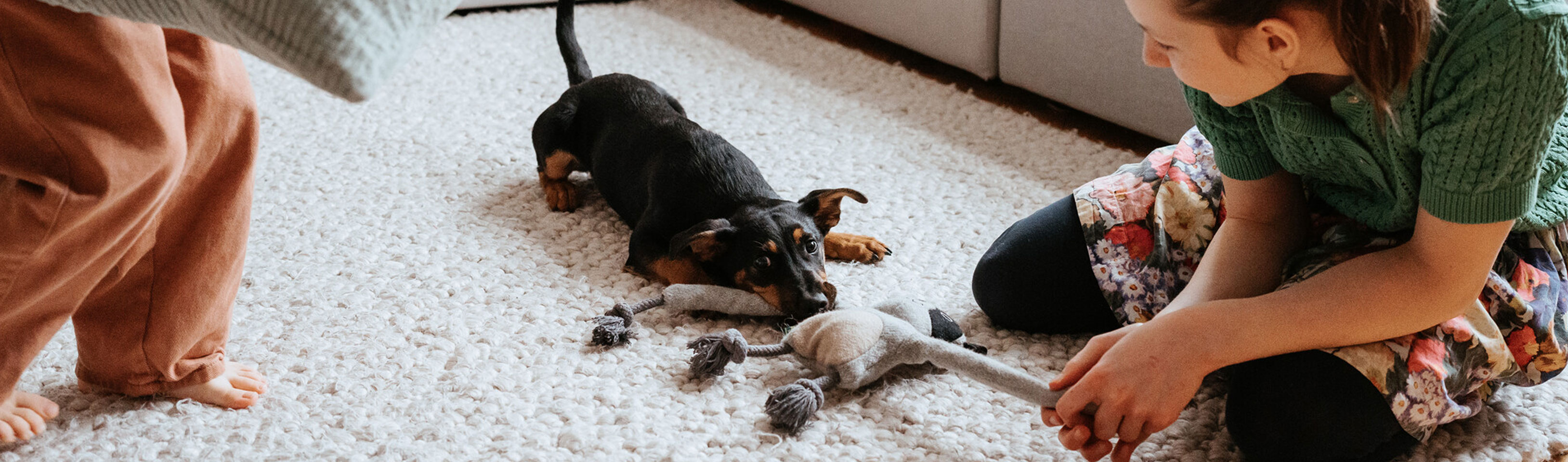 HP-Mädchen-spielt-mit-einem-Hund.jpg