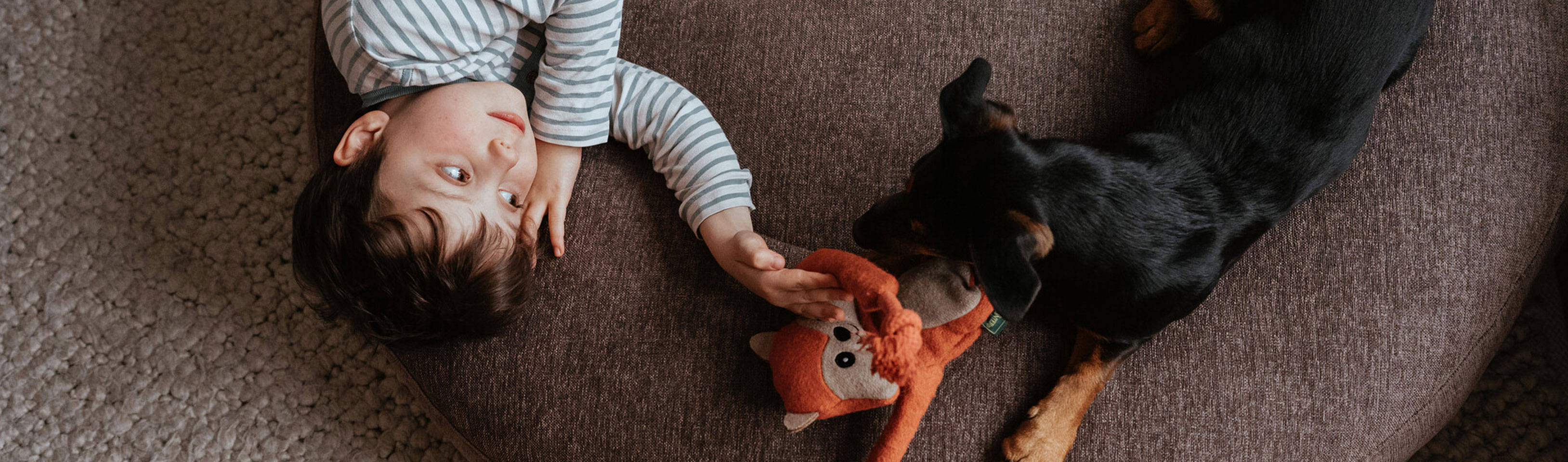 HP--Kind-und-Hund-liegen-auf-einem-Hundebett-und-spielen.jpg